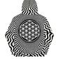 Hypnotic Hoodie