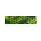 Tye Dye Bandeau Bra Top